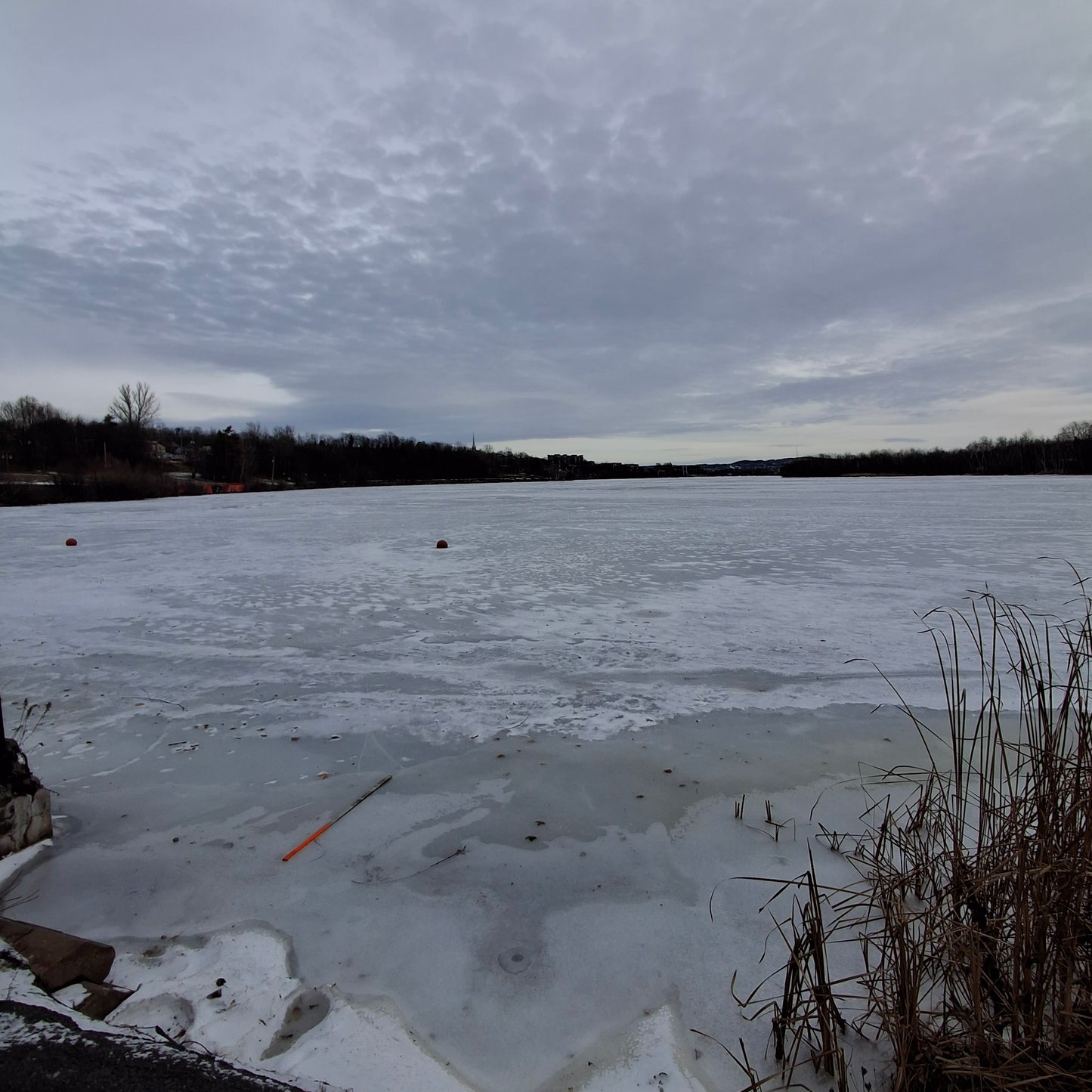 2025-12-20 (Vue Q1)