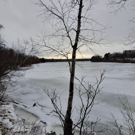 2025-12-20 (View 2.1)