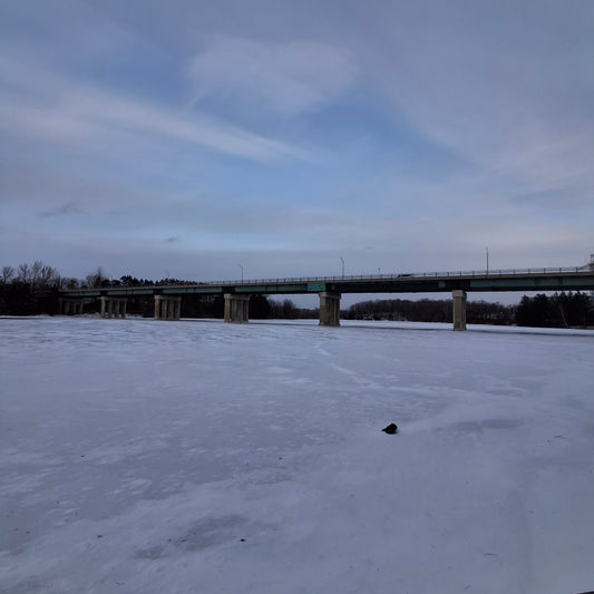 2025-12-22 (View T1)