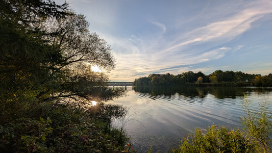 2026-09-12 (Vue S1)
