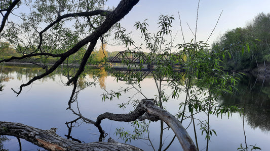 Pont Noir Du 21 Mai 2021 (Vue C2)