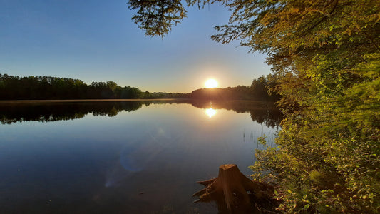 Le Soleil Du 2 Juin 2021 (Vue Souche) Photos