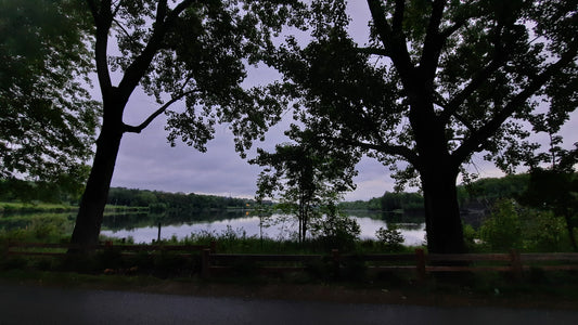 Aube Grise Du 4 Juin 2021 (Vue Bp1) 5H18 Lac Des Nations