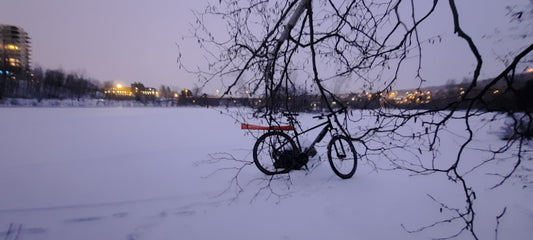 2022-01-07 (Vue Rocher) Vélo
