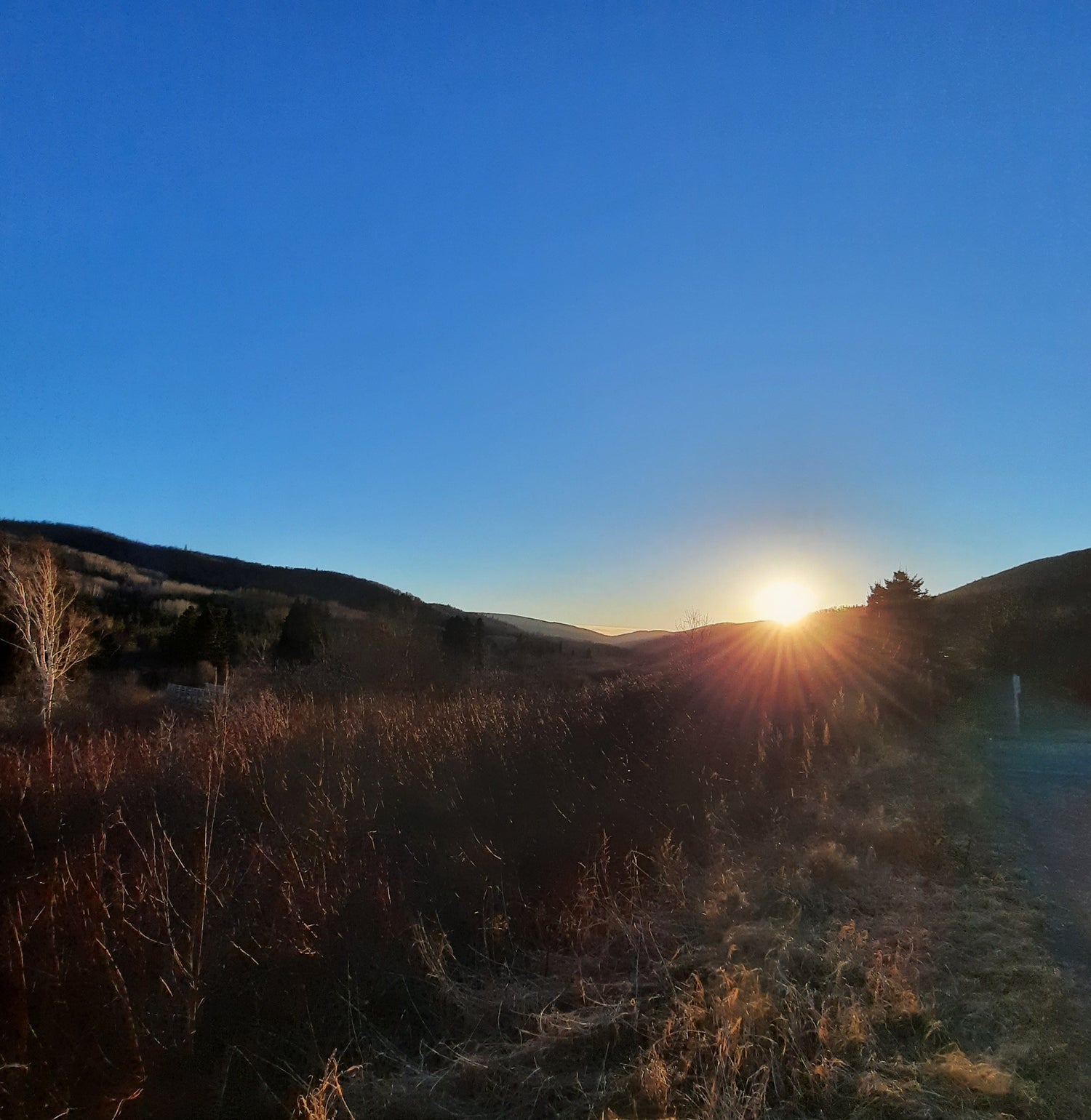 2023-12-28 Coucher De Soleil Dans Le Parc Forillon