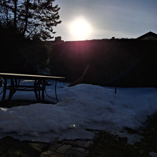 Apple juice (House view)