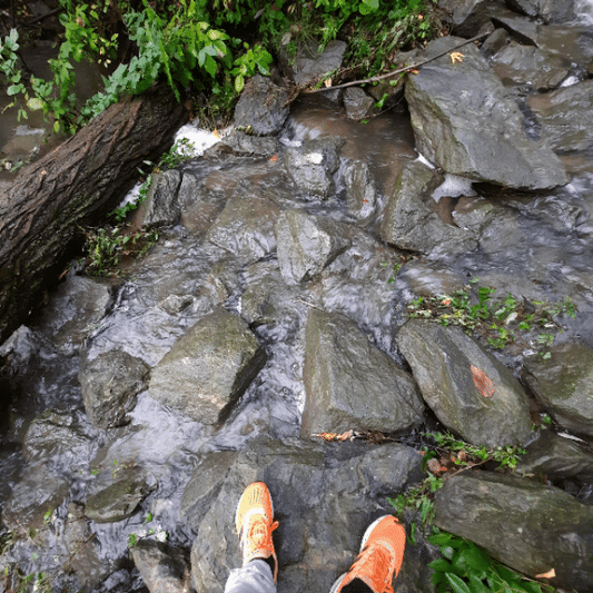 2022-09-22 The Flood (Frog View) Find the Shoes (Animation)